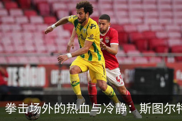 拳击场外的热血与冷静：斯图尔特和尤班克斯的奇妙遭遇